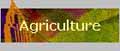 Agriculture and food production