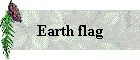 Earth flag