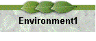 Environment1