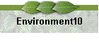 Environment10