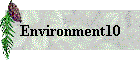 Environment10