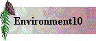 Environment10