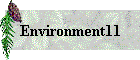 Environment11