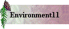 Environment11