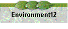 Environment12