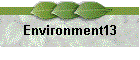 Environment13