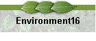 Environment16