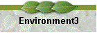 Environment3