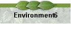 Environment6