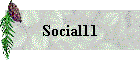 Social11