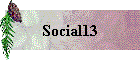 Social13