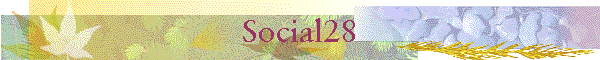 Social28