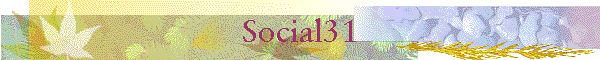 Social31