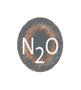 N2O