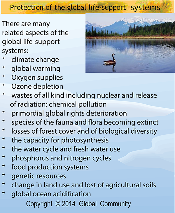 Seeing the world today, Global Community claims that each of us depends on the well-being of the whole, and so global citizens have respect for the community of living beings, people and all other lifeforms, and plants, and for the preservation of Earth, air, water and soil. And that explains why the protection of the global life-support systems is the most important right on the Scale of Global Rights. 