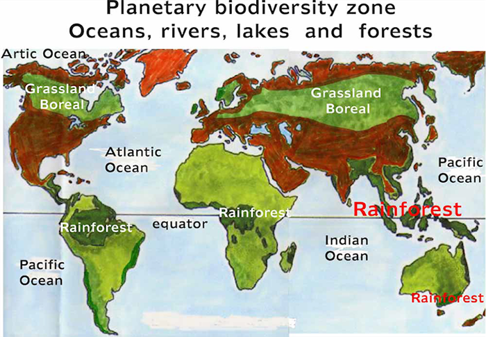 Biodiversity zones on Earth.