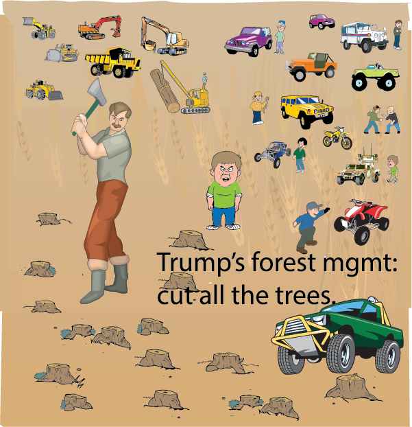 Trump's forest management: cut all the trees.