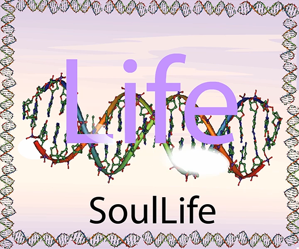 SoulLife 