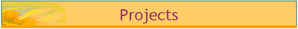 Projects